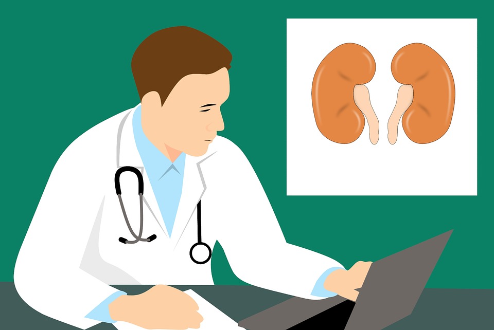 kidney care